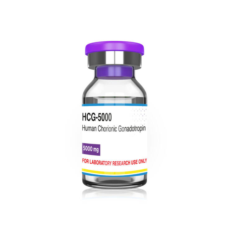 Human Chorionic Gonadotropin